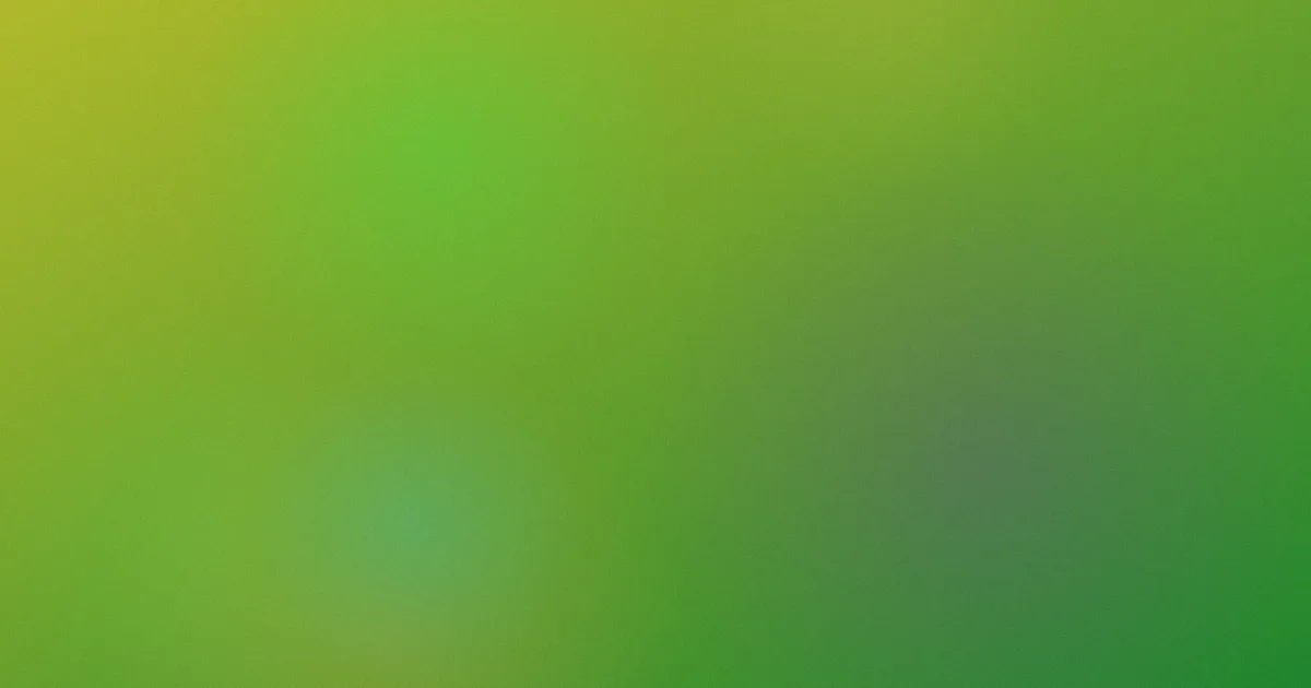 桑格莉之夏怎么用？实测分享