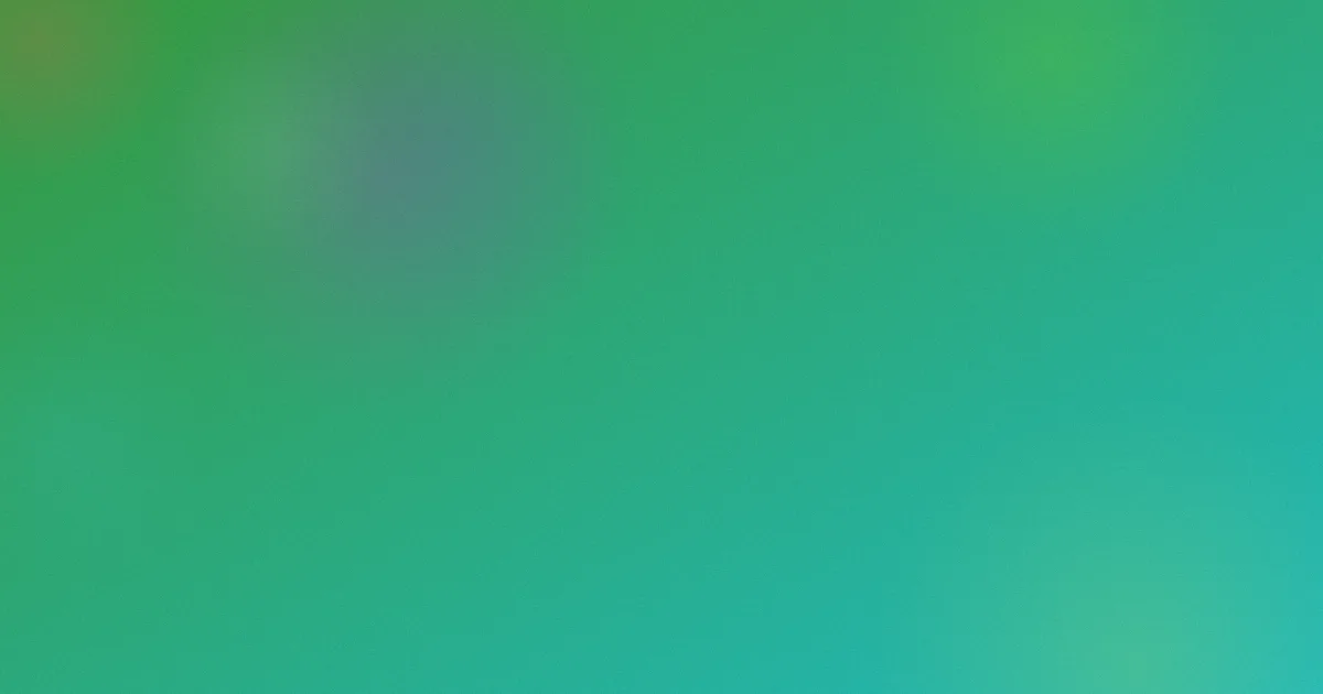 一级片一级片攻略：横向对比
